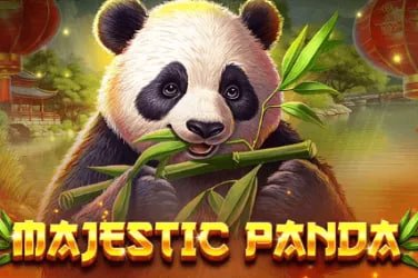 Pengguna menikmati hiburan sports sepak bola dan casino modern di perangkat mobile
